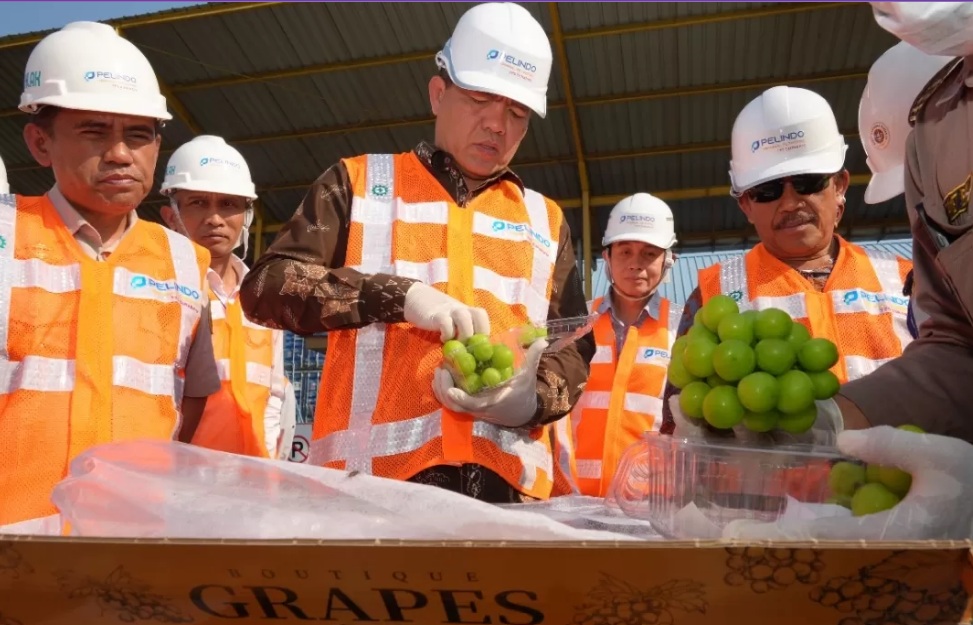Badan Karantina Indonesia melakukan pemeriksaan terhadap Anggur Shine Muscat yang masuk melalui Pelabuhan Tanjung Perak.
