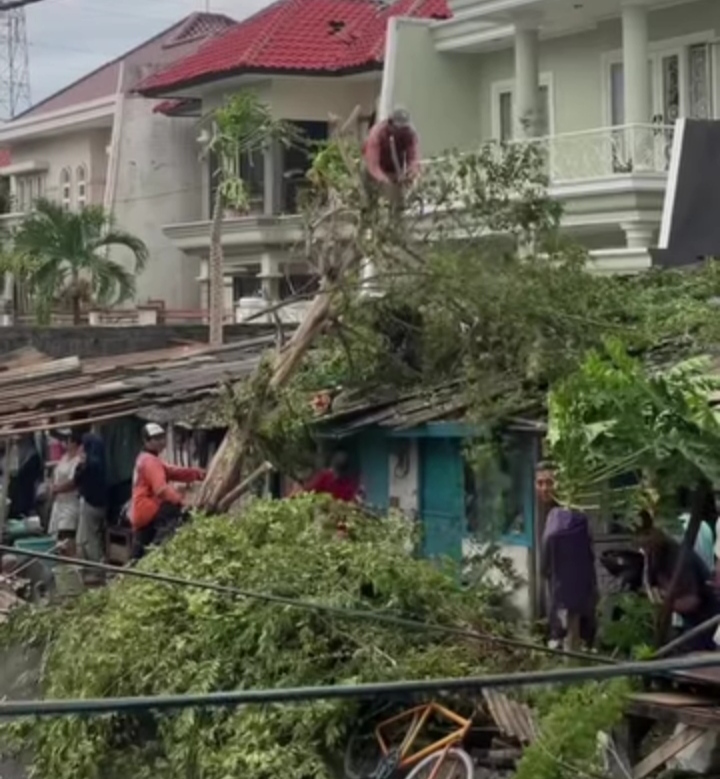 Satgas DLH Surabaya saat memotong pohon tumbang akibat angin kencang di Wilayah Mulyorejo Surabaya, Jumat (29/11).