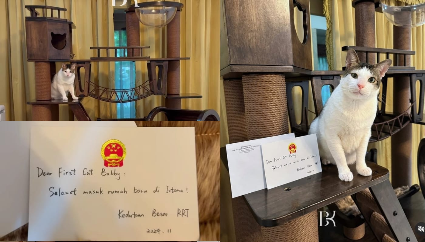Bobby Kertanegara, kucing milik Presiden Prabowo mendapat hadiah rumah kucing dari Kedubes RRT.