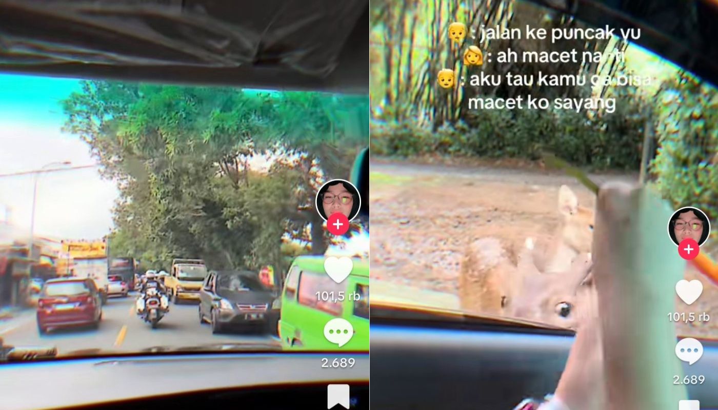 Momen sepasang kekasih gunakan mobil patwal untuk ke Puncak.