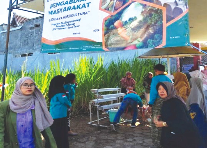 Hidroponik sayuran kini jadi salah satu teknik tanam yang jadi favorit emak-emak di kota.