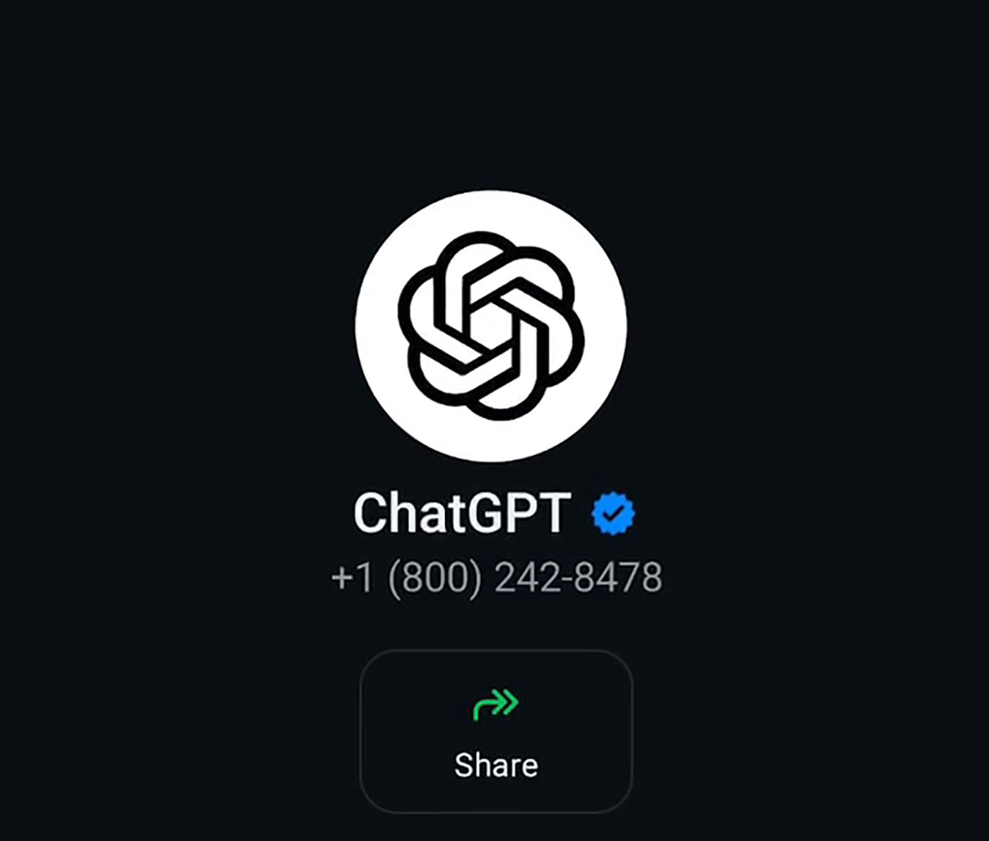ChatGPT yang kini telah hadir di WhatsApp sejak Kamis (19/12).