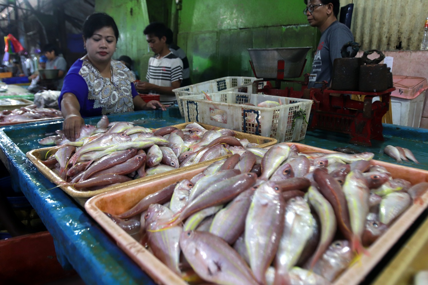 Pada momen pergantian tahun banyak masyarakat mengisinya dengan memasak ikan sehingga permintaannya meningkat.