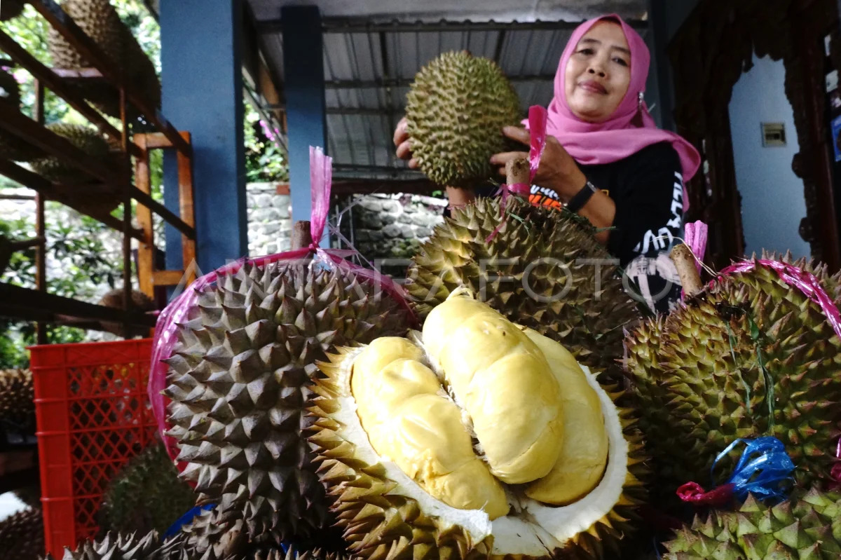 ANDALAN: Penjual menunjukkan durian lokal Wonosalam di Desa Jarak, Kec. Wonosalam, Jombang, Sabtu (30/12/2023).