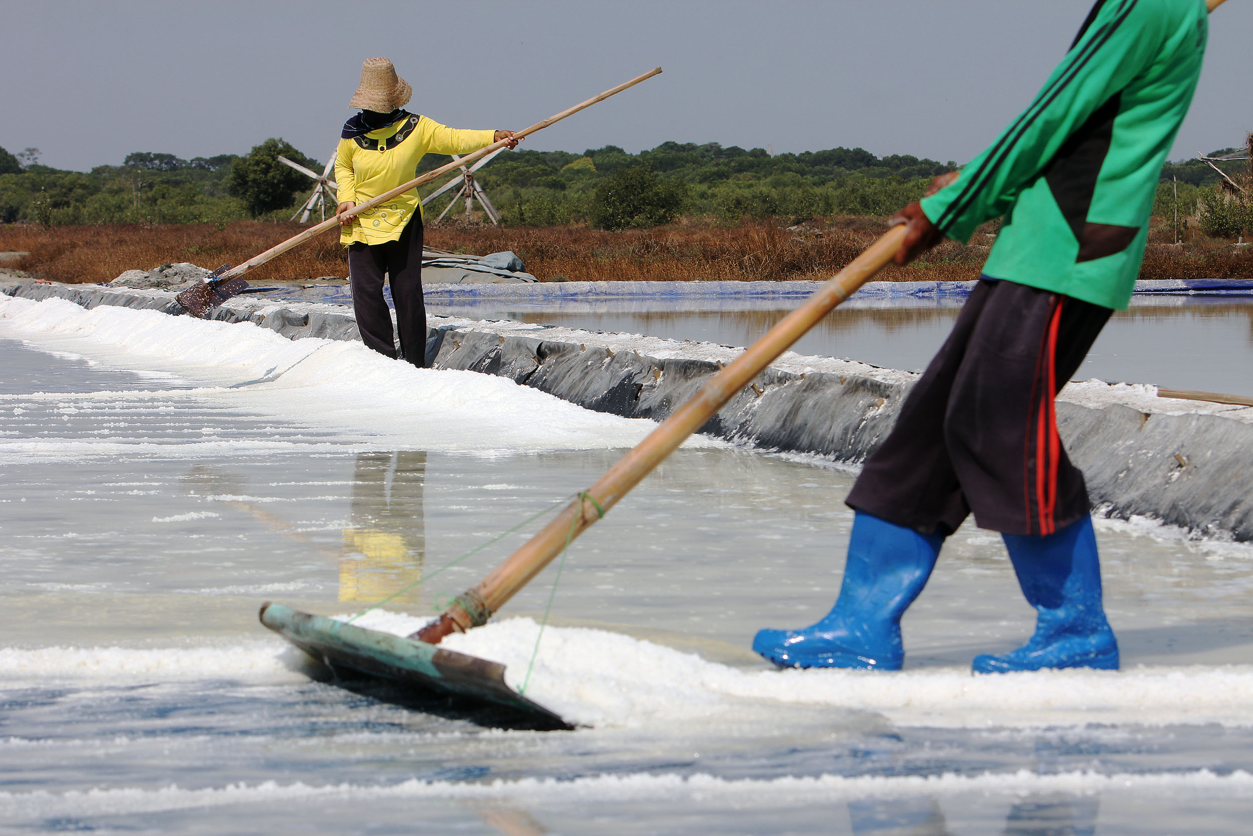 TEKAN IMPOR: Petani garam di Pulau Madura, pemerintah menargetkan produksi garam bisa mencapai 2,25 juta ton.