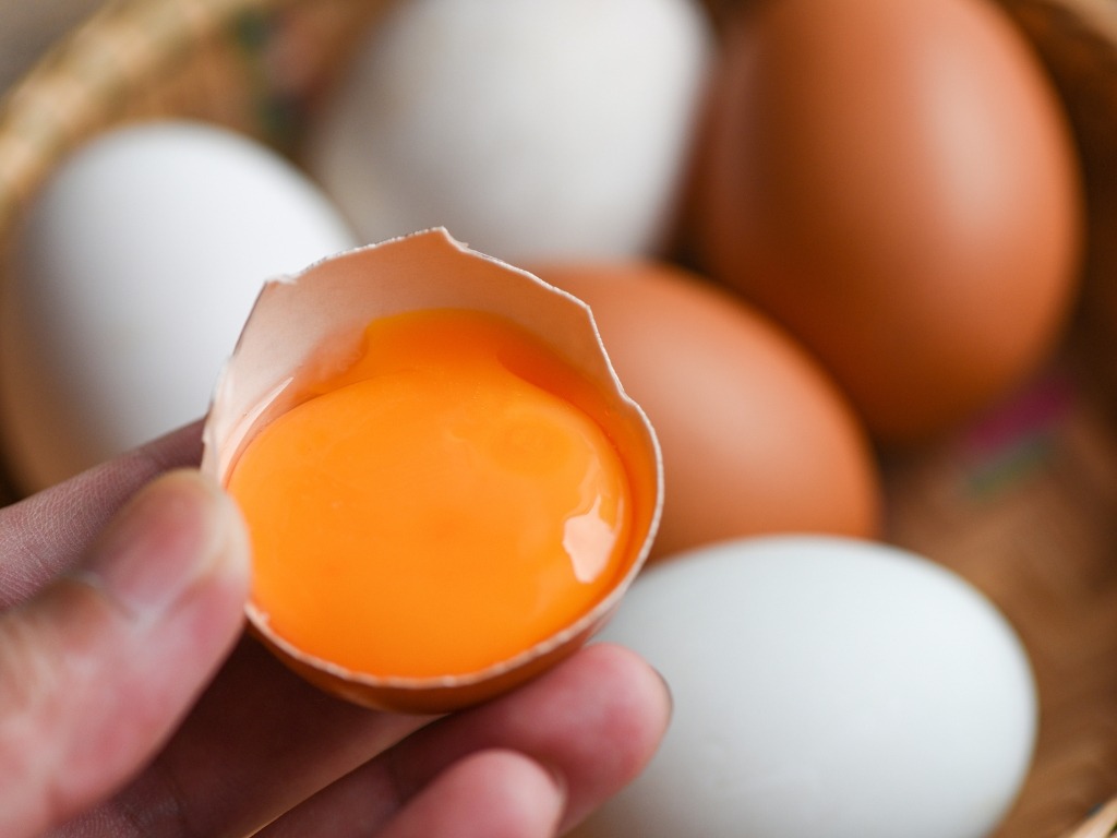 Telur Omega 3 dari ayam.