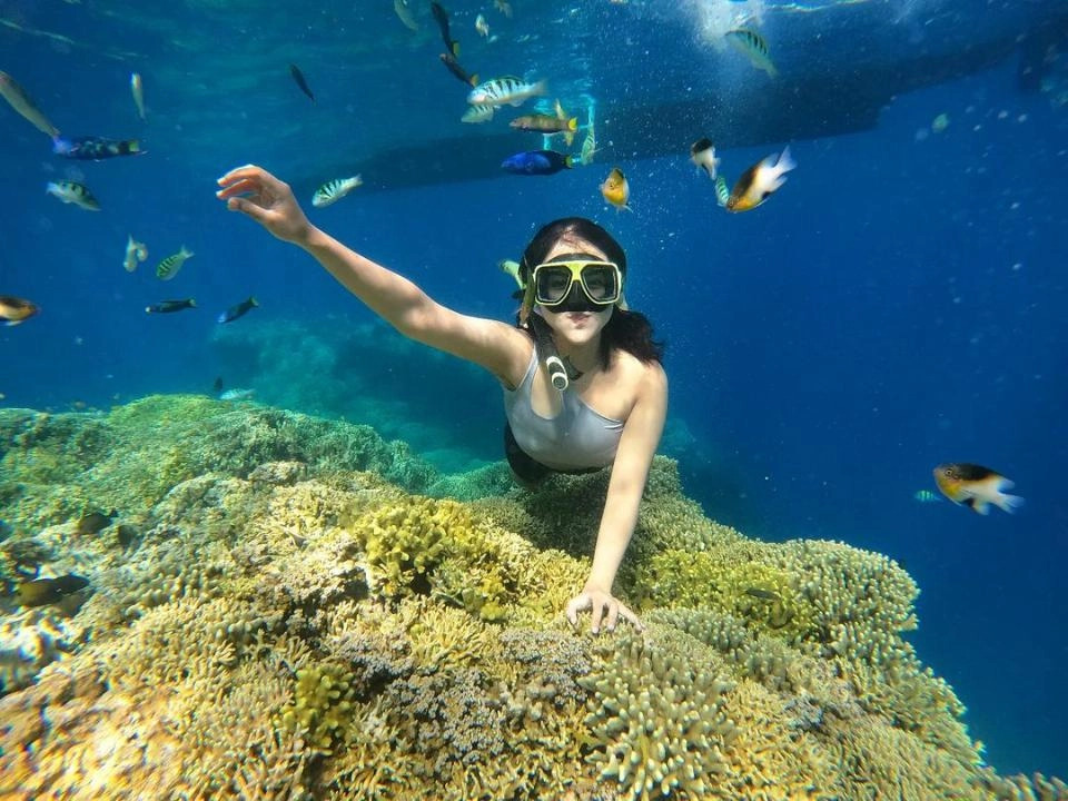 Snorkeling di Pulau Tabuhan, Banyuwangi merupakan aktivitas yang menyenangkan untuk menikmati keindahan bawah laut.