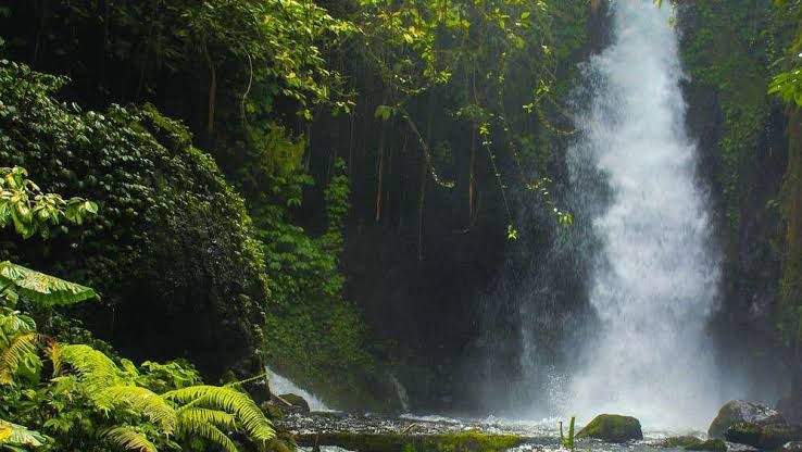 Air terjun Telunjuk Raung.