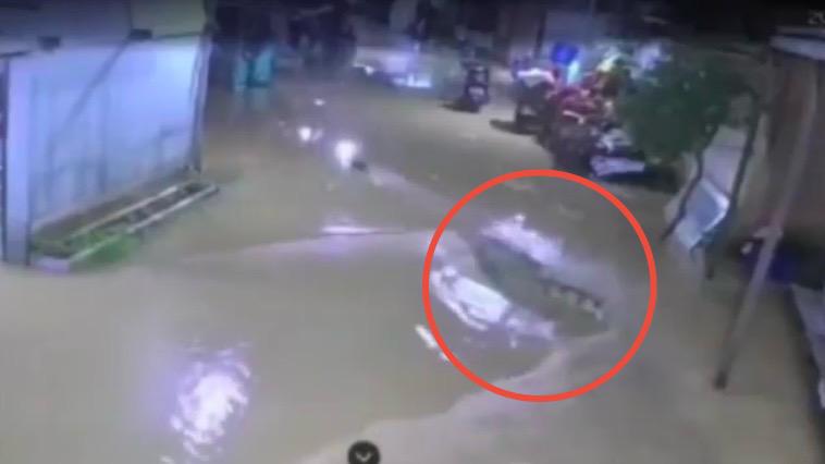 Seekor buaya tertangkap kamera CCTV memasuki permukiman warga di Sangatta saat banjir di Kutai Timur, Kaltim.
