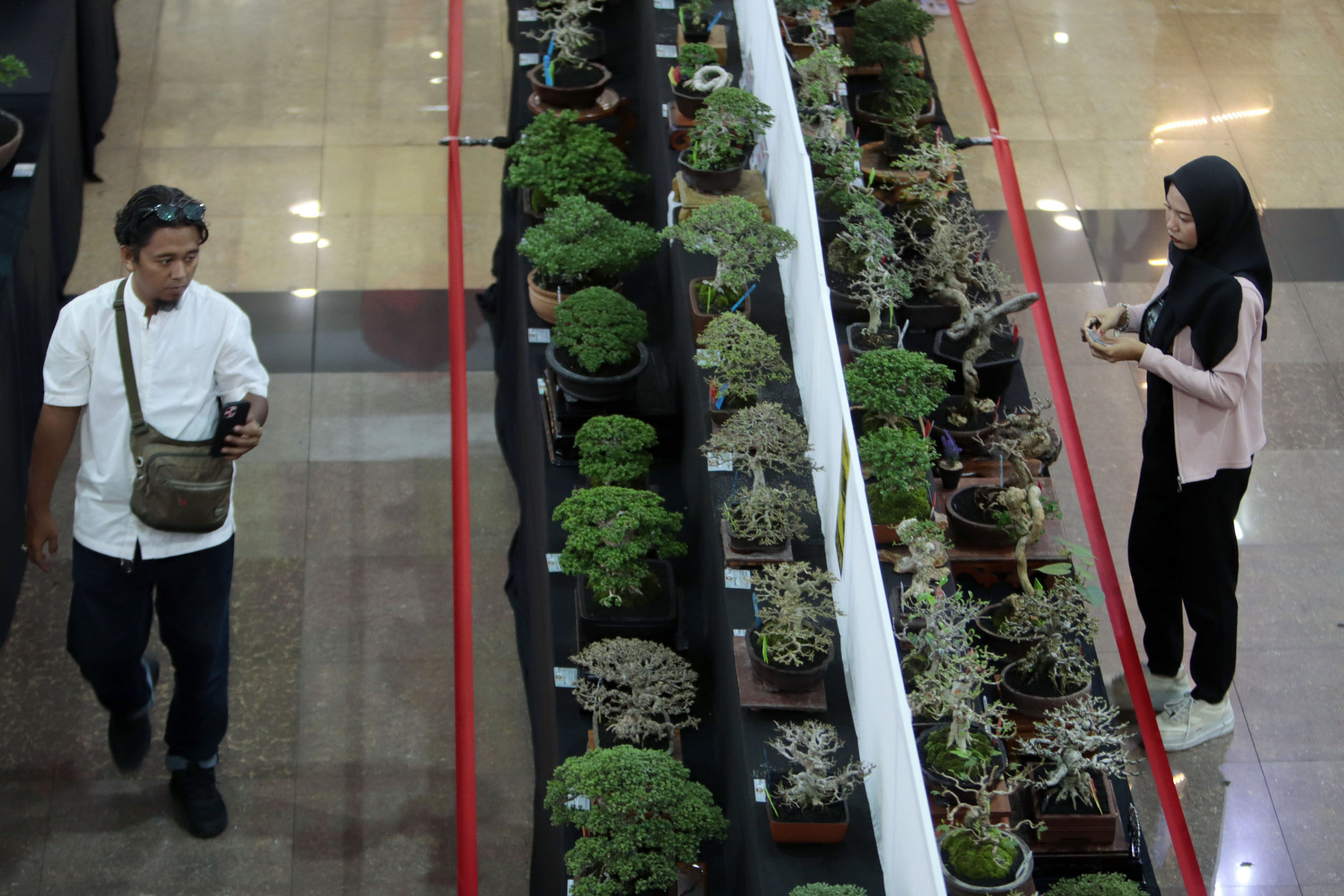 PUNYA PENGGEMAR SENDIRI: Sejumlah pengunjung mengamati tanaman bonsai yang dipamerkan dalam Gandeng Renteng II, di Kaza Mall Surabaya, Jumat (7/1).