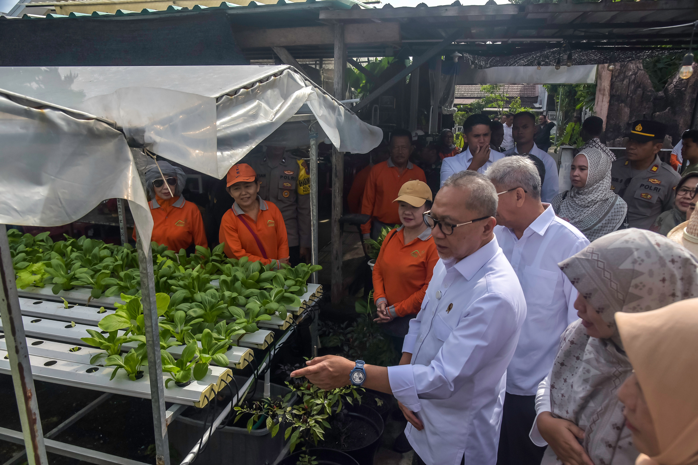 URBAN FARMING: Menteri Koordinator Pangan Zulkifli Hasan saat meninjau kelompok tani di kawasan Medokan, Surabaya.&nbsp;
