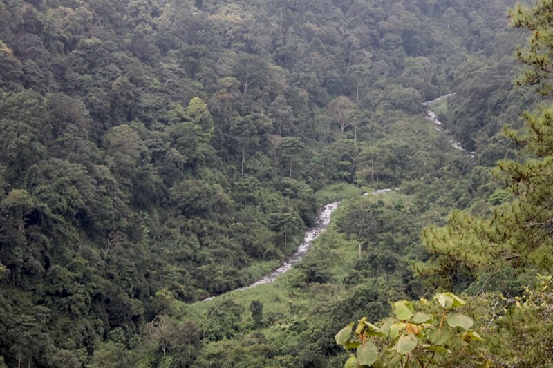 Kawasan Tahura Raden Soerjo yang ada di wilayah Cangar, Mojokerto.