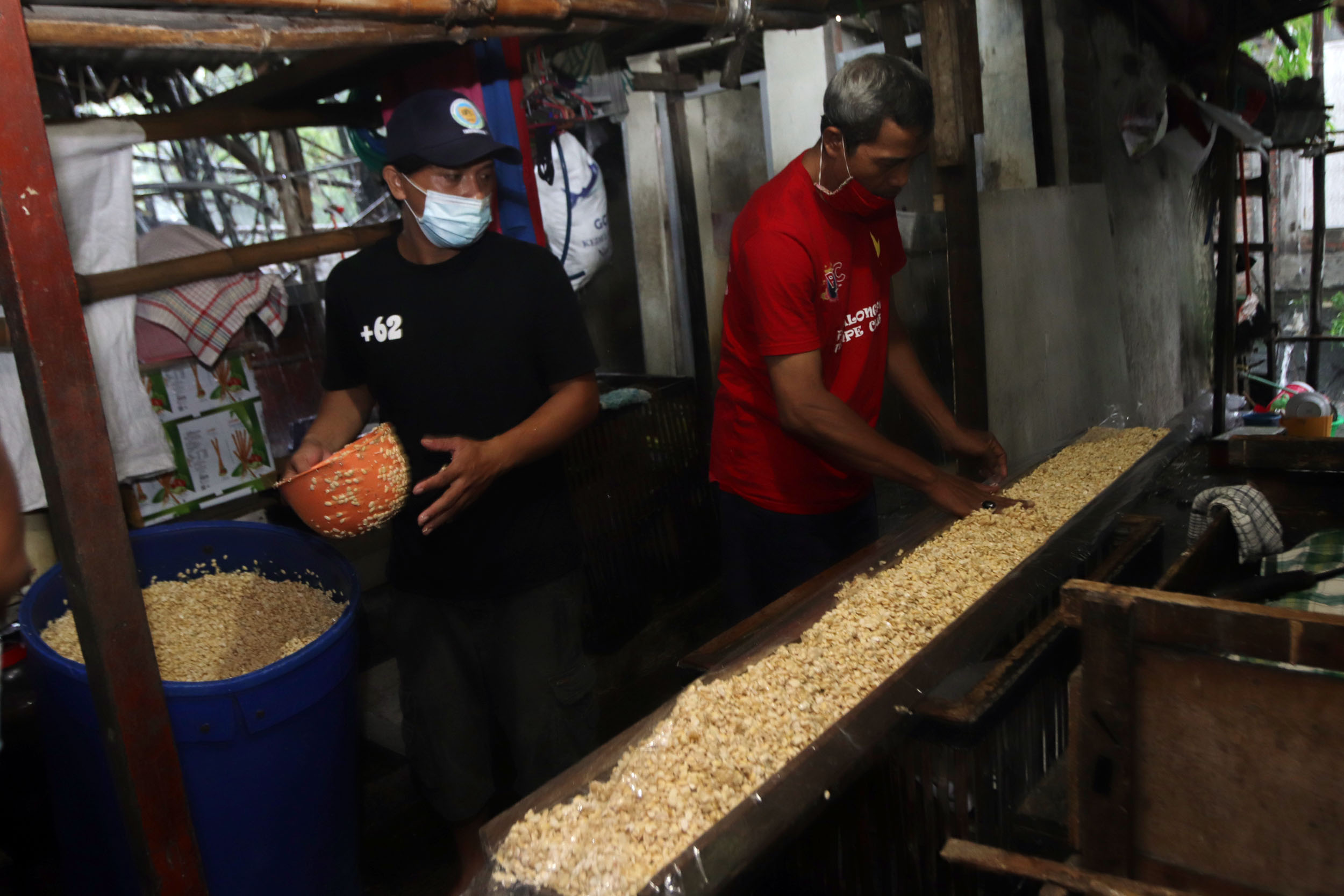 Proses pembuatan tempe di Kampung Tempe kawasan Tenggilis ini dilakukan secara tradisional.