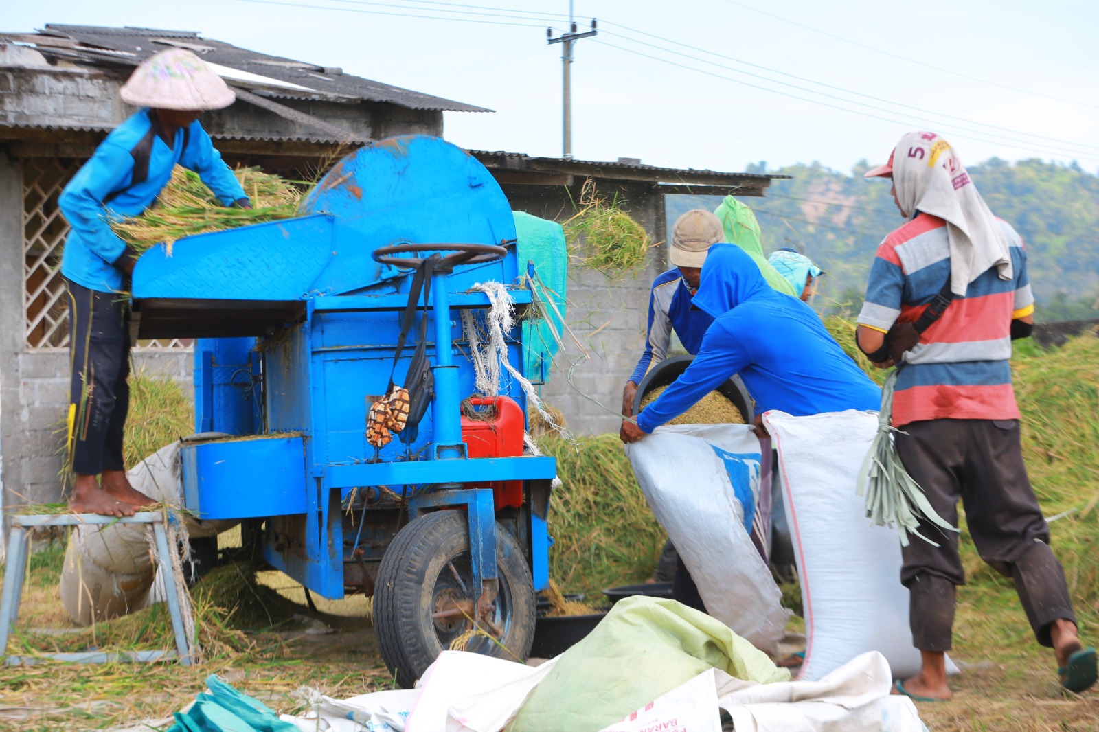 KETAHANAN PANGAN: Untuk menyerap beras petani, Bulog Jatim menyiapkan anggaran Rp 3,6 triliun.