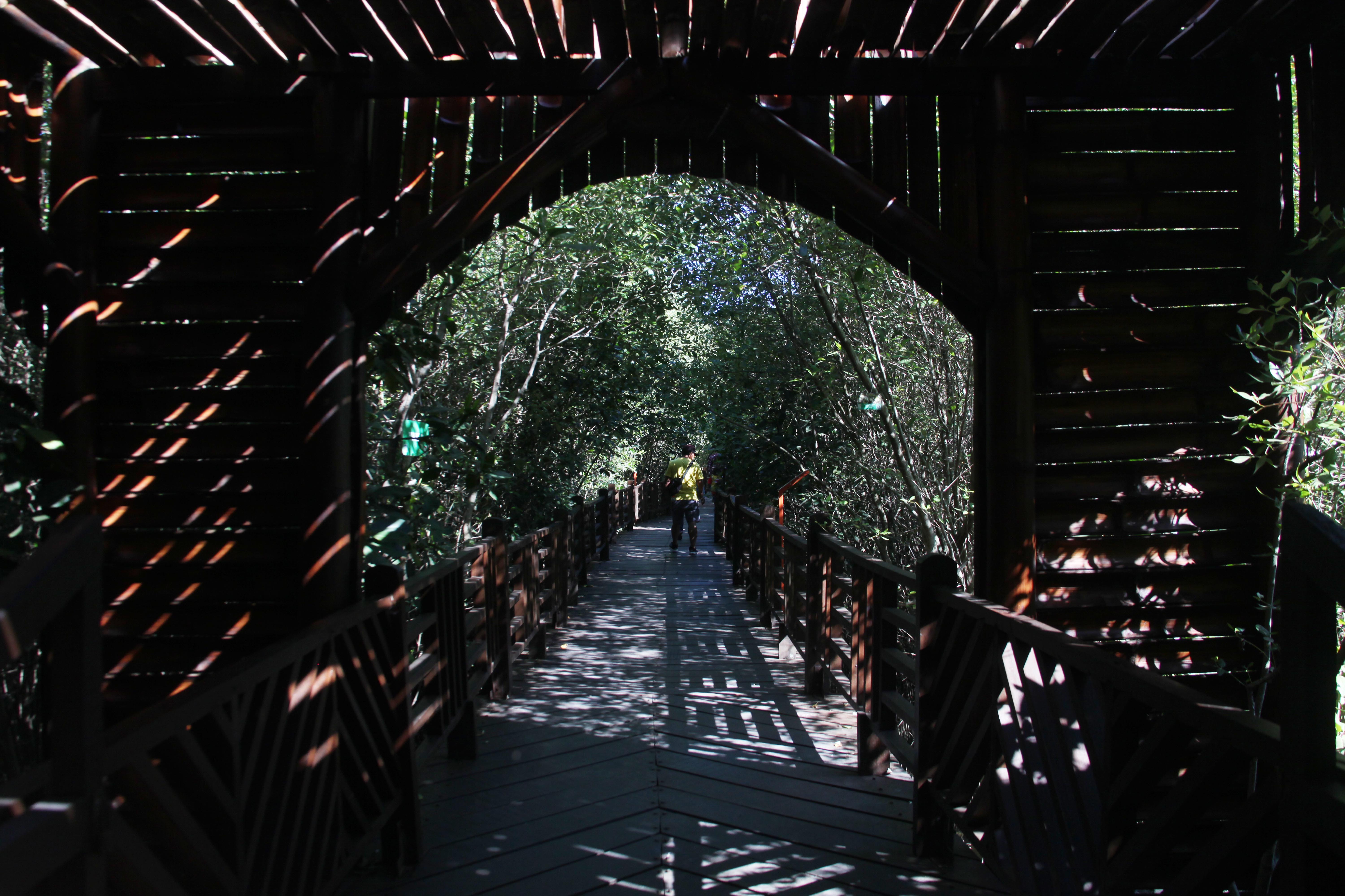 Hutan Mangrove Wonorejo menjadi salah satu Lokasi favorit para pecinta fotografi.