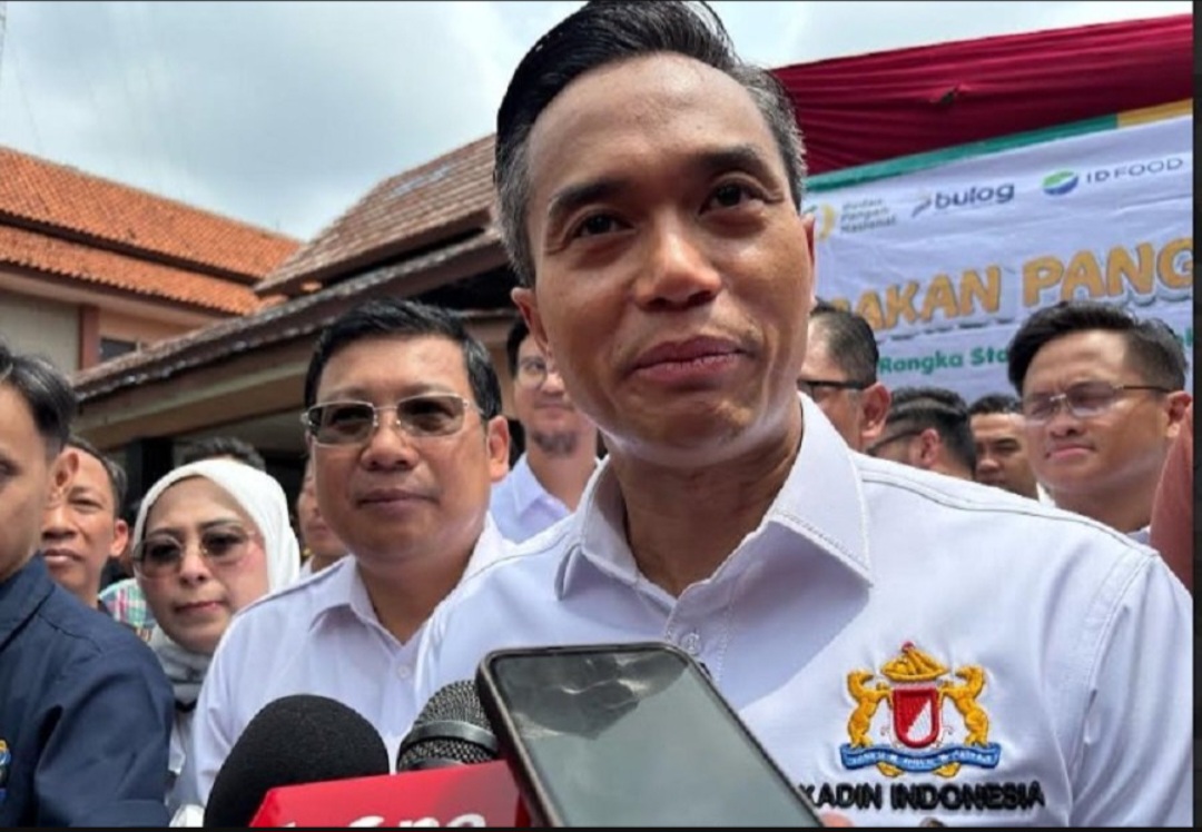 Ketua Umum Kadin Indonesia Anindya Novyan Bakrie.