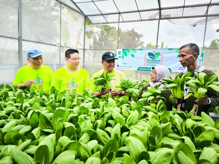 PANEN SAWI: Dari kanan: Mr. Richard Ong, Barli Leoponco, Wahyu Kristyawan dan Yanti saat memanen salah satu produk tanaman hidroponik, Sawi, Poktan Sumber Makmur, Rusun Warugung, Surabaya.