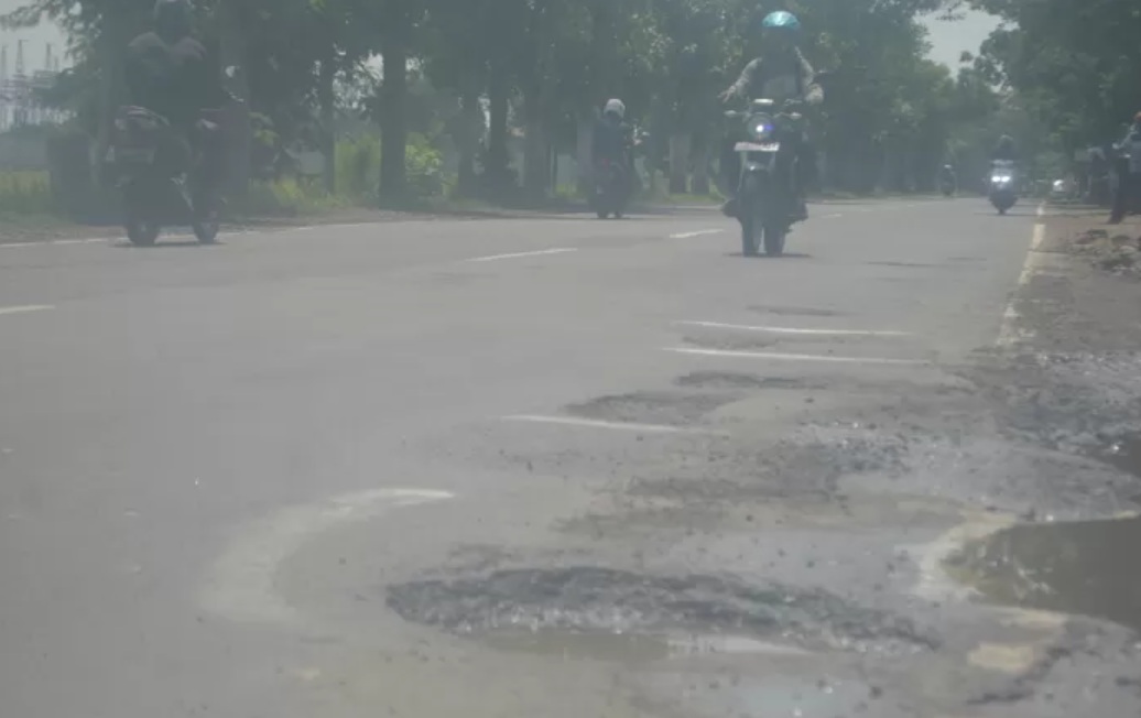Ilustrasi jalan provinsi yang rusak.