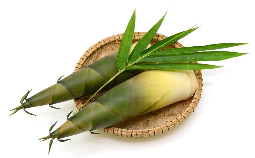 Rebung ternyata menyimpan banyak manfaat kesehatan yang belum banyak diketahui.