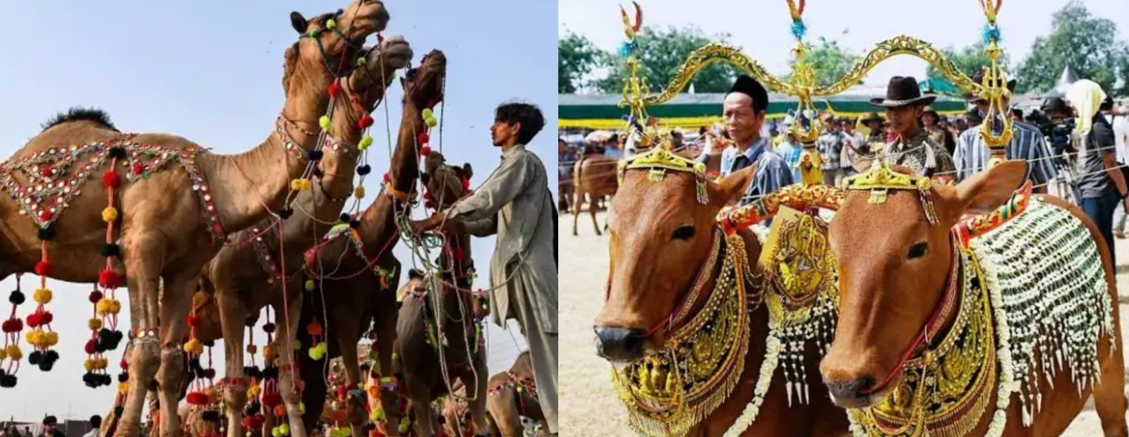 Selain sebagai momen ibadah dan refleksi spiritual, perayaan ini juga memiliki berbagai tradisi unik yang berbeda di setiap negara.