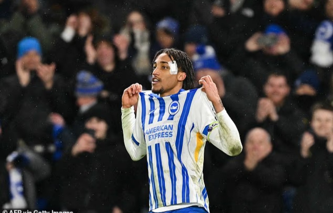 Joao Pedro kini jadi bagian lini depan Chelsea.