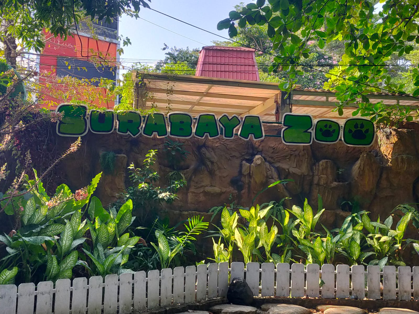 Kebun Binatang Surabaya (KBS) menampung beragam spesies hewan dari berbagai daerah, baik dari dalam negeri maupun luar negeri.
