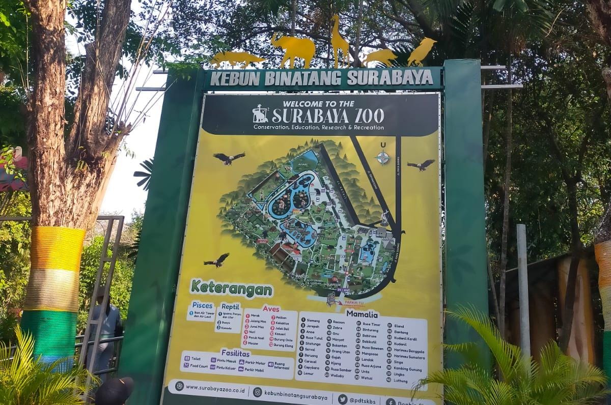 Pihak pengelola menyatakan bahwa operasional malam hari dihentikan karena masih dalam proses renovasi dan pembaruan konsep wisata.