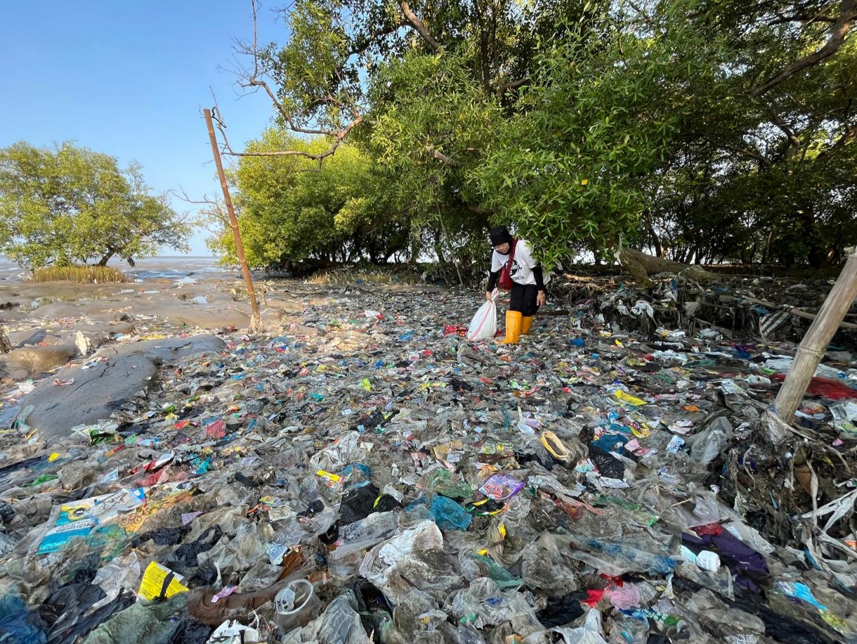 TERCEMAR: Aktivis dan relawan peduli lingkungan berhasil membersihkan ratusan kilogram sampah plastik di kawasan mangrove Wonorejo.