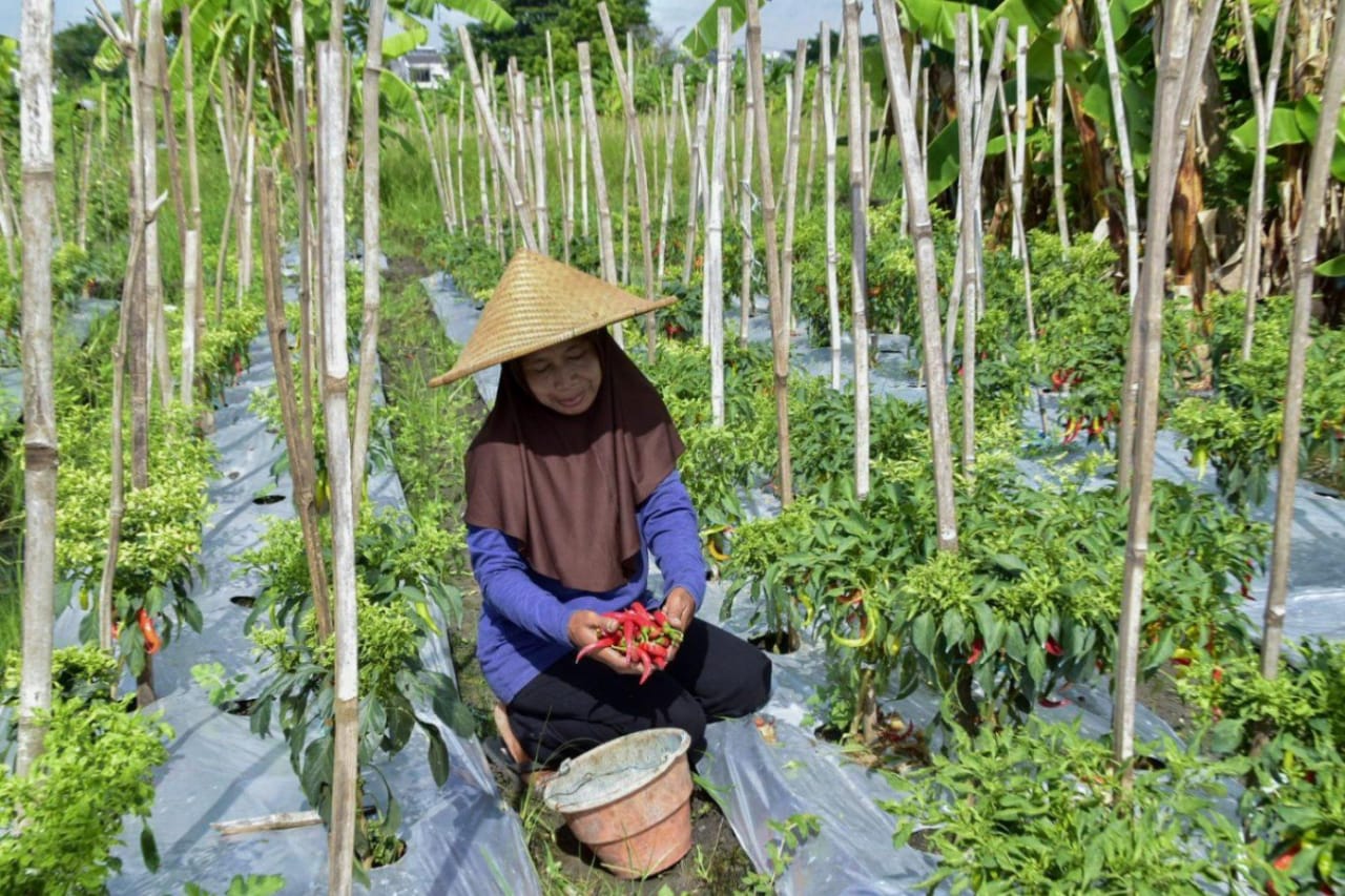 Pemantauan intensif dilakukan pada Selasa (29/7) di sejumlah pasar tradisional sebagai bagian dari upaya menjaga kestabilan harga.