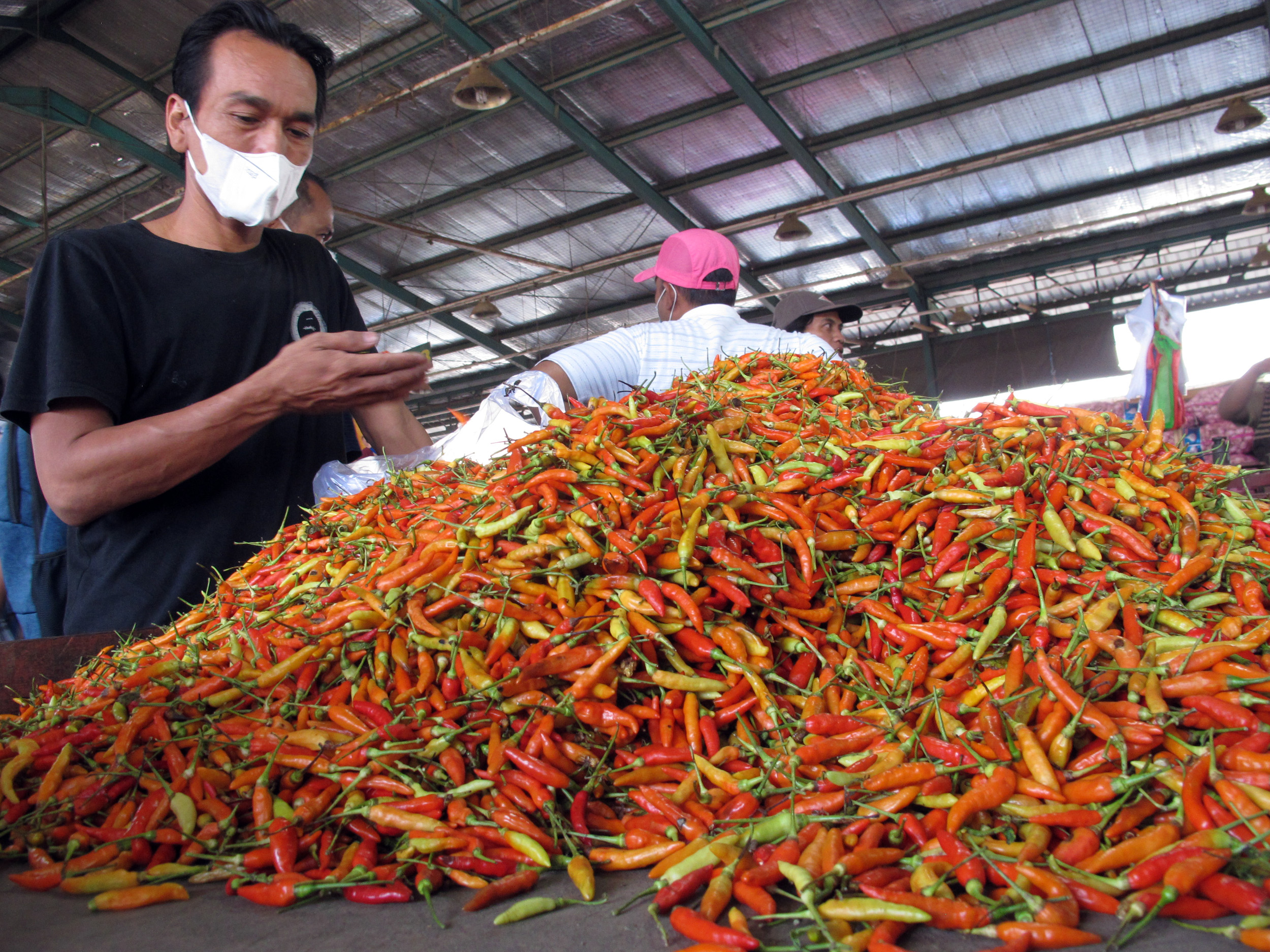 Sepanjang Juli 2025, harga cabai rawit merah dan tomat di Surabaya terpantau stabil.