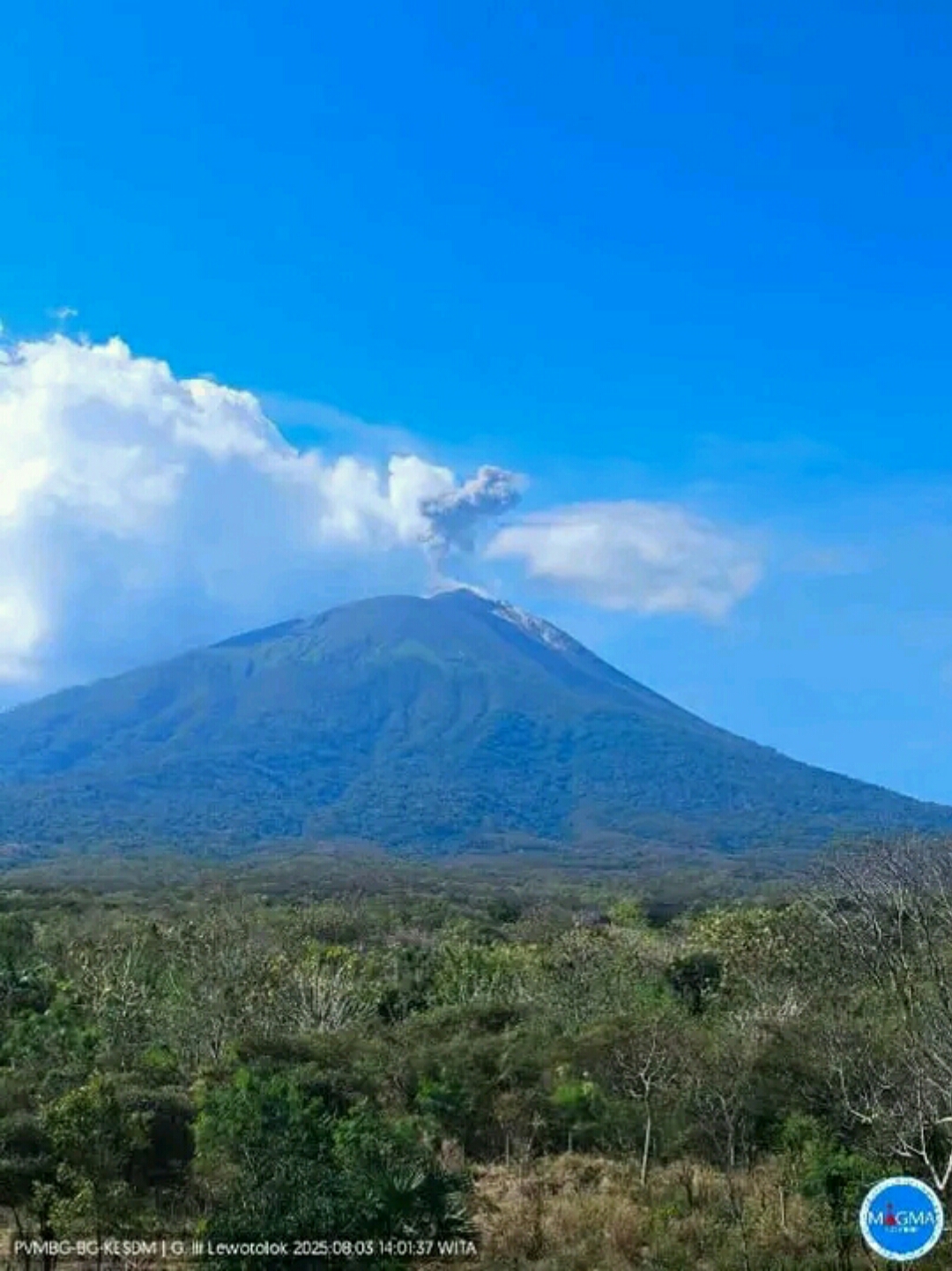 Gunung Ile Lewotolok di NTT meletus lagi. (IST)