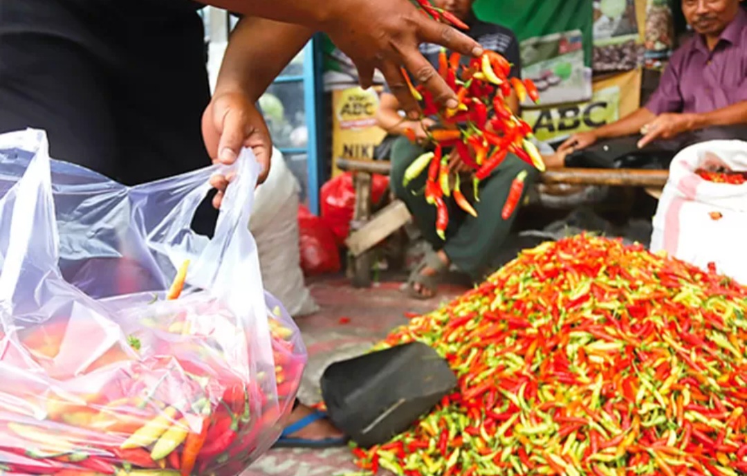 Harga cabai meroket hari ini, 4 Agustus 2025.