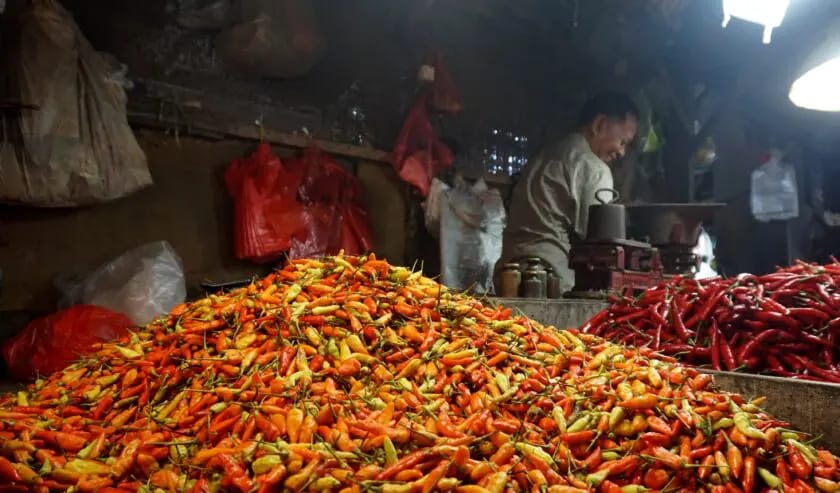 Harga Badan Pangan Nasional (Bapanas) per Senin (4/8) pukul 06.30 WIB menunjukkan lonjakan signifikan pada beberapa komoditas utama.