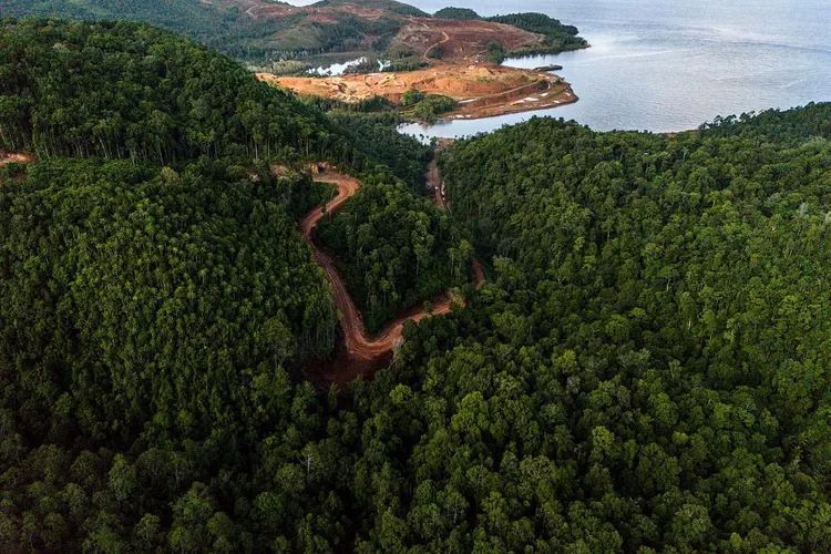 Tambang nikel ilegal di Pulau Gebe diduga rusak hutan & pesisir, terancam ganggu ekosistem hingga perairan Raja Ampat.