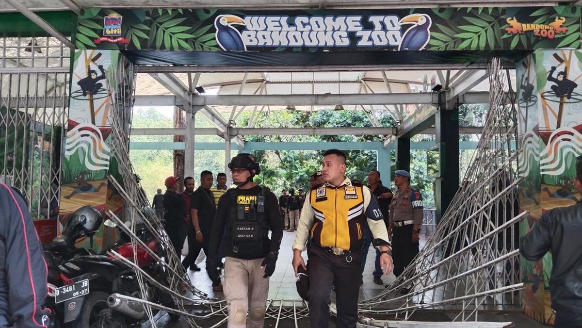 Pertikaian antara SPMD dan YMT, yang kini berada di bawah naungan Taman Safari Indonesia, memunculkan kekhawatiran serius terhadap kelangsungan hidup ratusan satwa, termasuk bayi-bayi yang baru lahir.