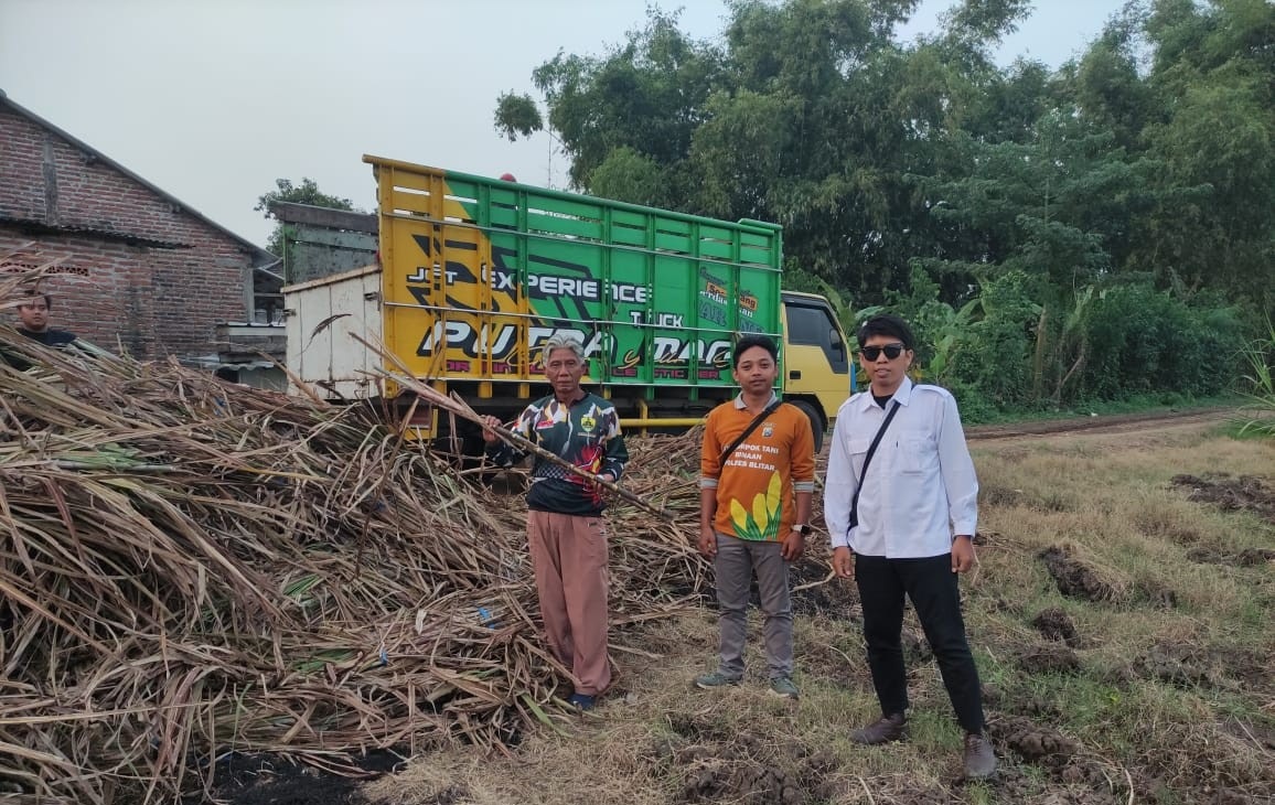 KONTRIBUTOR TERBESAR: Tebu sebagai bahan baku utama produksi Gula Kristal Putih (GKP), masih menjadi salah satu komoditas unggulan perkebunan di Jawa Timur.