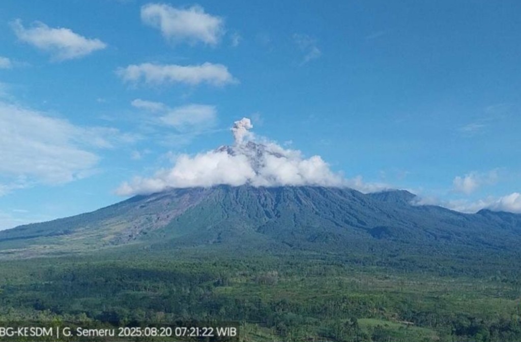 Gunung Semeru erupsi dengan tinggi letusan 800 meter di atas puncak pada Rabu (20/8/2025) pagi. ANTARA/HO-PVMBG