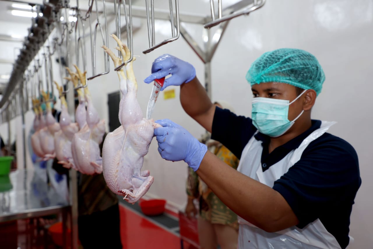 Rumah Pemotongan Hewan Unggas (RPHU) modern di kawasan Jeruk, Lakarsantri, Surabaya. (IST)