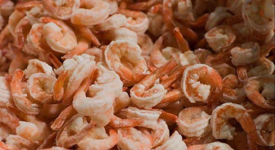 Pemerintah RI beri respon udang beku lokal yang terindikasi mengandung Cs-137
