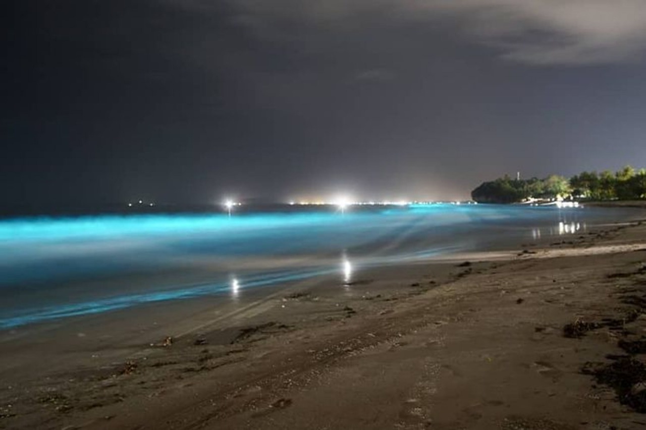 Fenomena langka bioluminesensi tampak di pesisir Lampung pada 2019, ketika gelombang laut bercahaya biru terang pada malam hari, menciptakan pemandangan spektakuler.