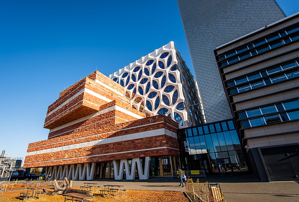 Naturalis Biodiversity Center di Leiden, Belanda menjadi salah satu tempat yang digunakan pemerintah Belanda untuk menyimpan fosil dan artefak asal Indonesia.