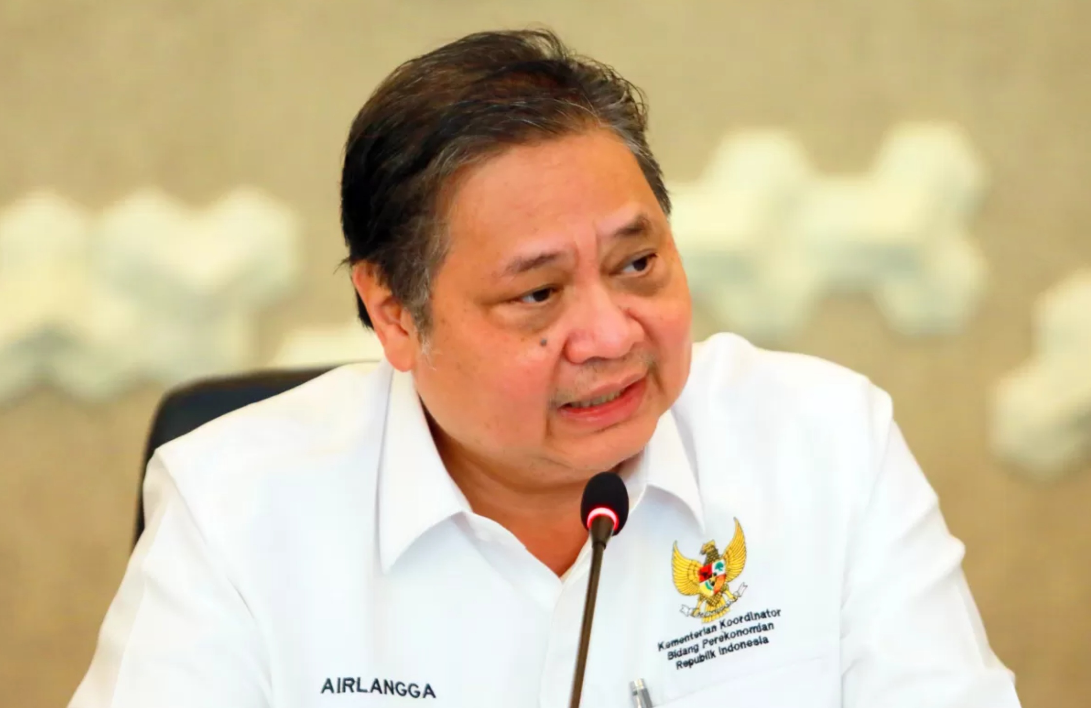 Menko Bidang Perekonomian Airlangga Hartarto.
