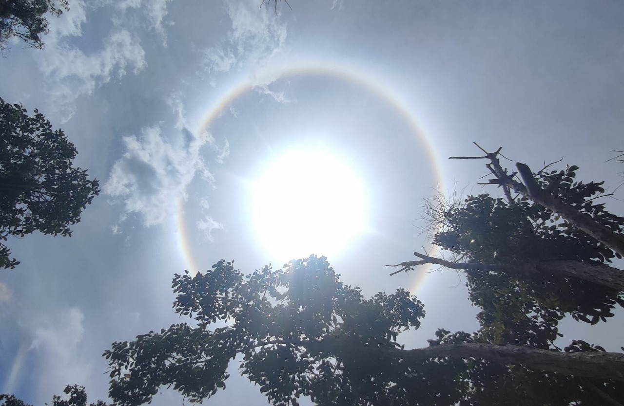 Fenomena halo matahari terlihat jelas di langit.