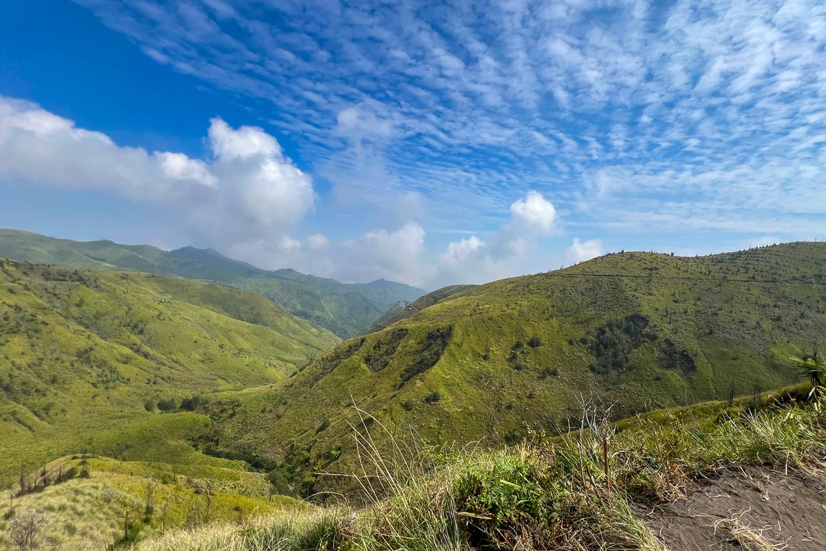 Bukit Kandang Pasuruan Memandang ,Pesona Luasnya Sabana Hijau di Lereng Bromo.