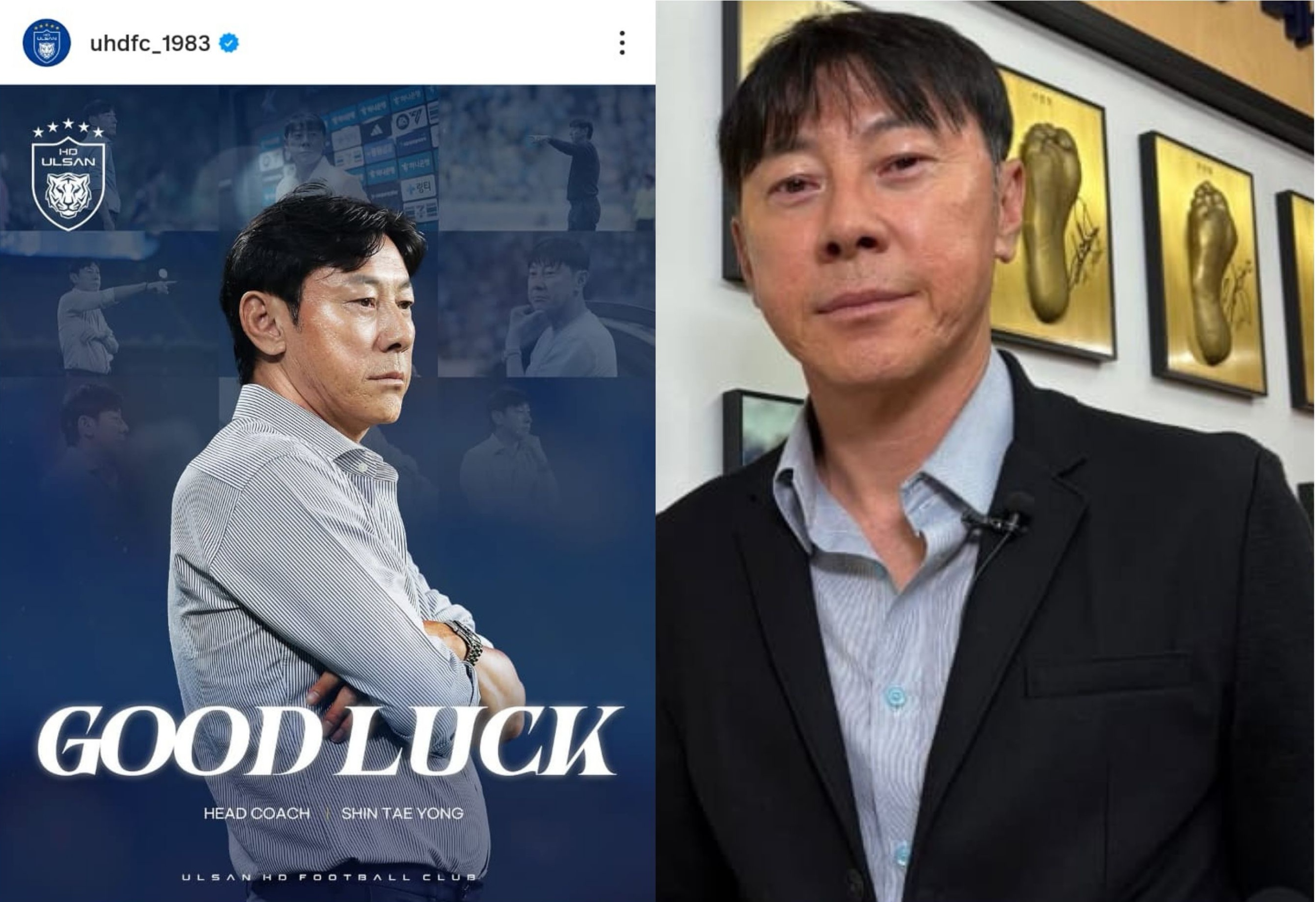 Ulsan HD resmi memutus kontrak Shin Tae-yong setelah dua bulan menjabat sebagai pelatih.