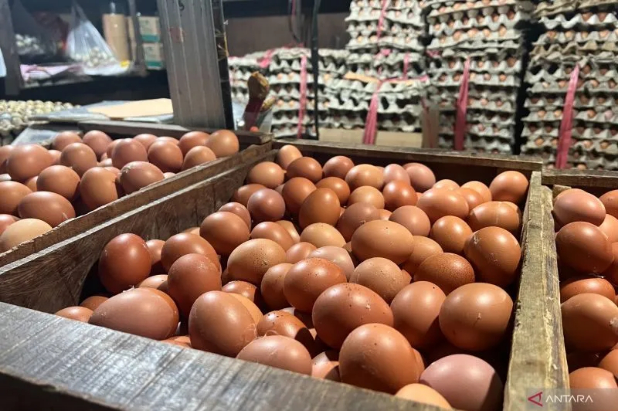 STOK: Harga telur ayam di Kota Surabaya dalam beberpa hari terakhir menembus angka Rp 31.000 per kilogram.