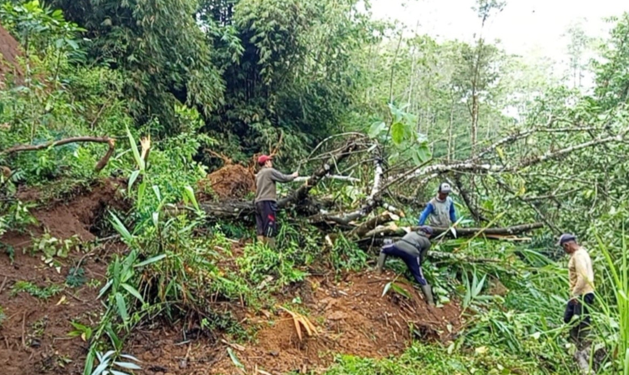 Warga membersihkan jalan di jalur alternatif Madiun&ndash;Ponorogo yang tertutup longsor.