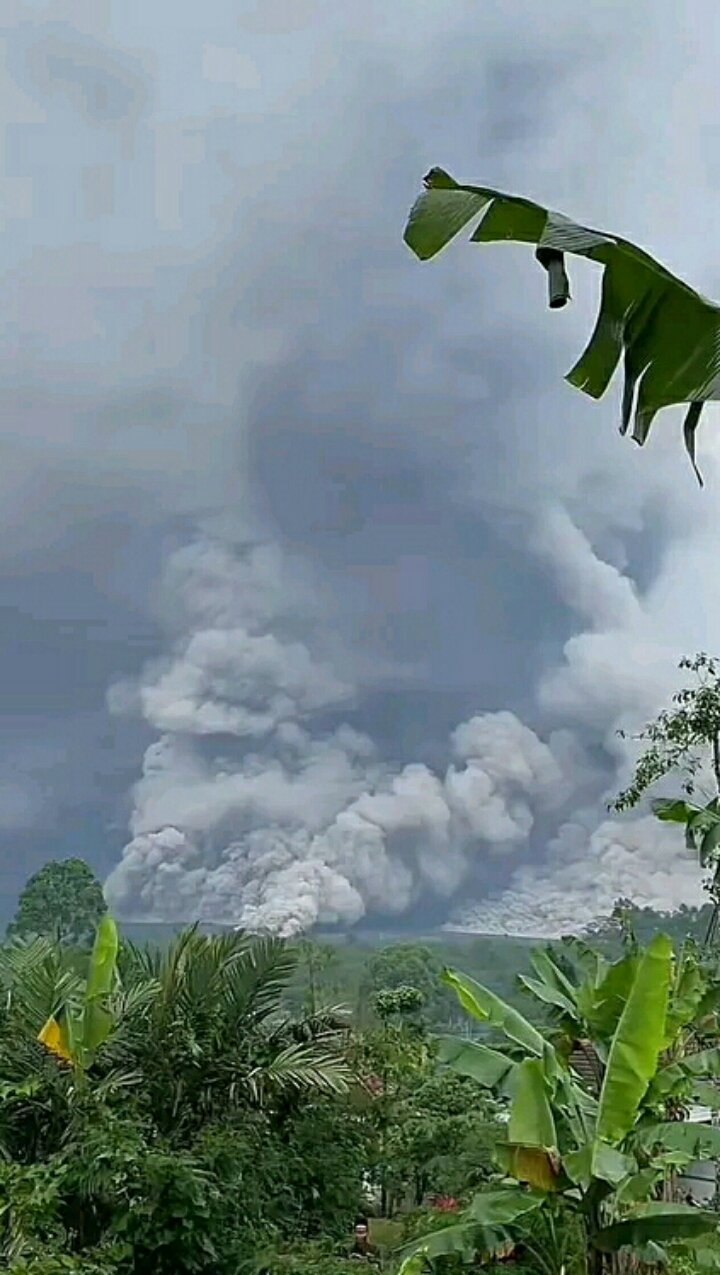 Gunung Semeru di Lumajang erupsi lagi. (warganet)