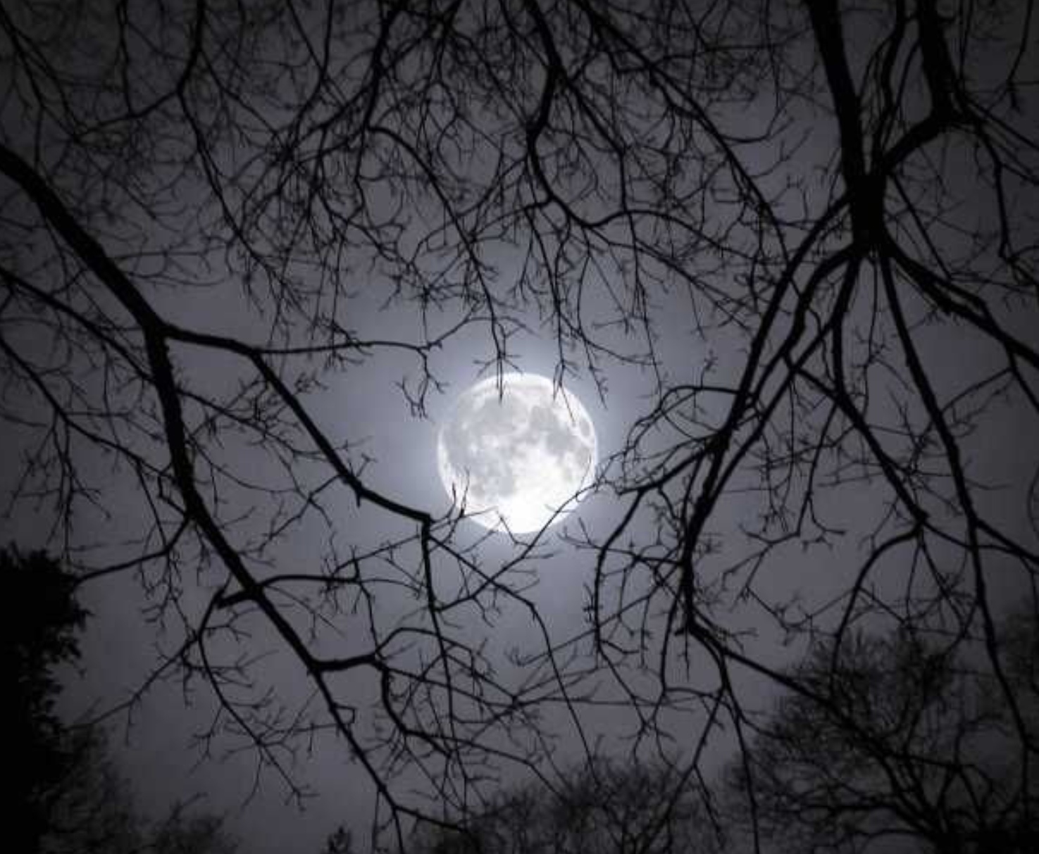 Ilustrasi cold moon.
