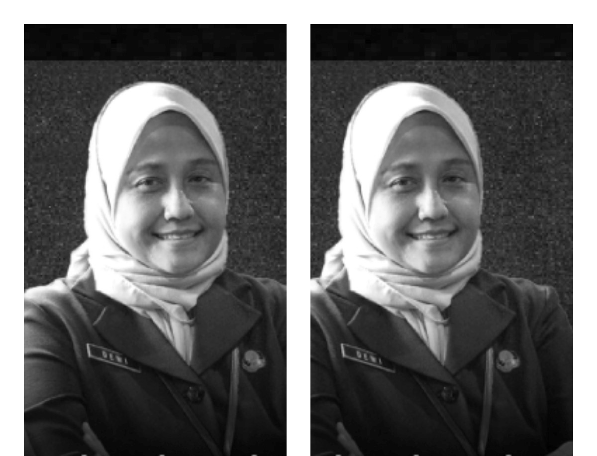 Asisten II Bidang Perekonomian dan Pembangunan Pemkot Surabaya Dewi Soeriyawati